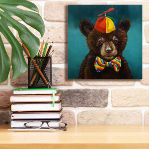 'Baby Bear' by Lucia Heffernan, Canvas Wall Art,12x12