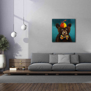 'Baby Bear' by Lucia Heffernan, Canvas Wall Art,37x37