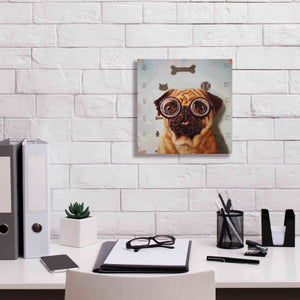 'Canine Eye Exam' by Lucia Heffernan, Canvas Wall Art,12x12