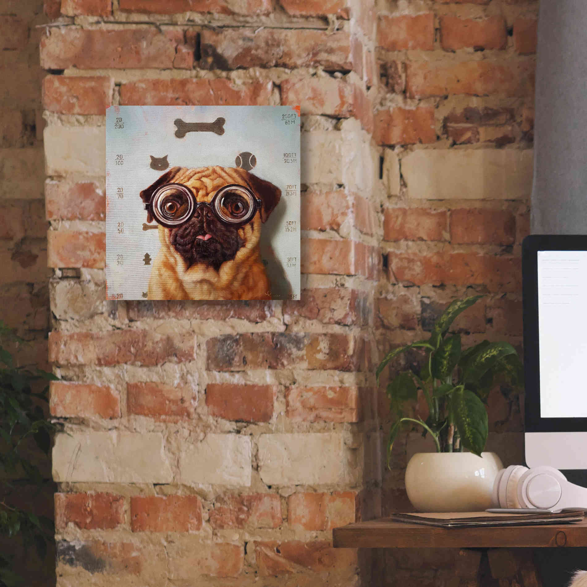 'Canine Eye Exam' by Lucia Heffernan, Canvas Wall Art,12x12