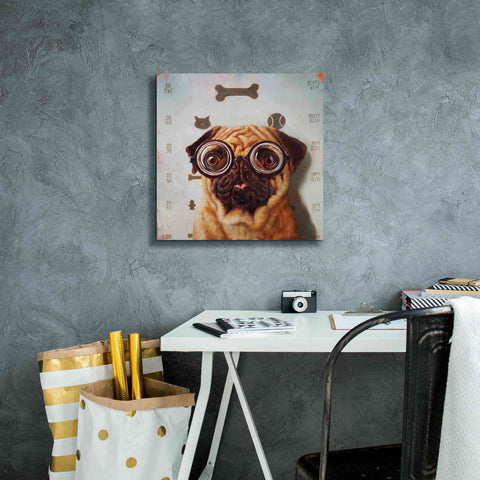 Image of 'Canine Eye Exam' by Lucia Heffernan, Canvas Wall Art,18x18