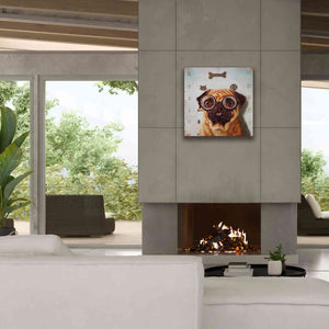 'Canine Eye Exam' by Lucia Heffernan, Canvas Wall Art,26x26