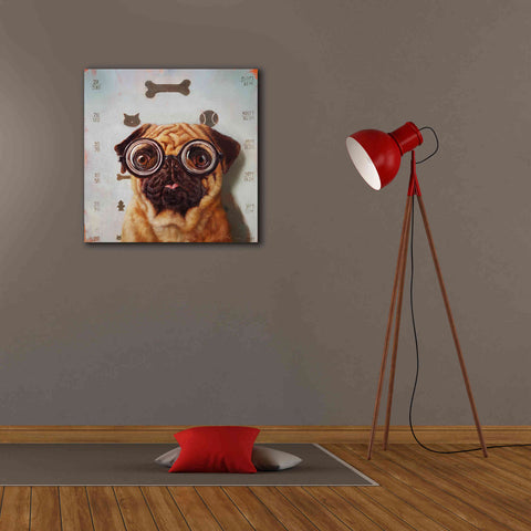 Image of 'Canine Eye Exam' by Lucia Heffernan, Canvas Wall Art,26x26