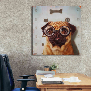 'Canine Eye Exam' by Lucia Heffernan, Canvas Wall Art,37x37