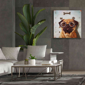 'Canine Eye Exam' by Lucia Heffernan, Canvas Wall Art,37x37