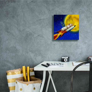 'Dream Catcher' by Lucia Heffernan, Canvas Wall Art,12x12