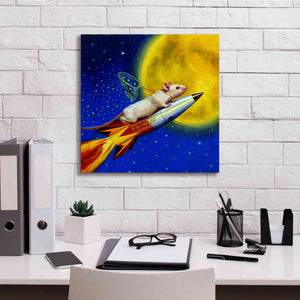 'Dream Catcher' by Lucia Heffernan, Canvas Wall Art,18x18