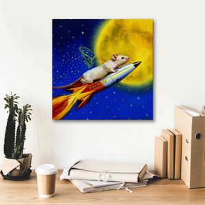 'Dream Catcher' by Lucia Heffernan, Canvas Wall Art,18x18