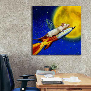 'Dream Catcher' by Lucia Heffernan, Canvas Wall Art,37x37