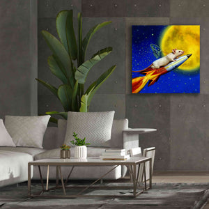 'Dream Catcher' by Lucia Heffernan, Canvas Wall Art,37x37