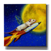 'Dream Catcher' by Lucia Heffernan, Canvas Wall Art