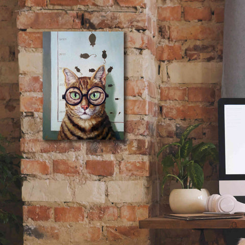 Image of 'Feline Eye Exam' by Lucia Heffernan, Canvas Wall Art,12x16