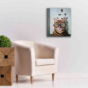 'Feline Eye Exam' by Lucia Heffernan, Canvas Wall Art,20x24