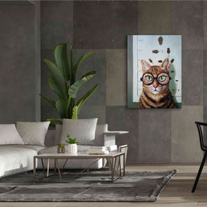 'Feline Eye Exam' by Lucia Heffernan, Canvas Wall Art,40x54