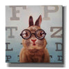 'Four Eyes' by Lucia Heffernan, Canvas Wall Art