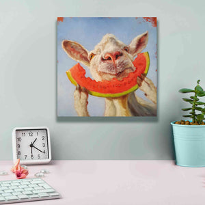 'Summer Treat' by Lucia Heffernan, Canvas Wall Art,12x12