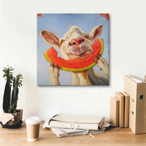 'Summer Treat' by Lucia Heffernan, Canvas Wall Art,18x18