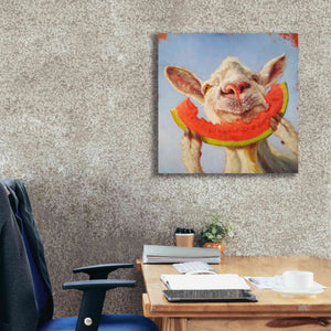 'Summer Treat' by Lucia Heffernan, Canvas Wall Art,26x26