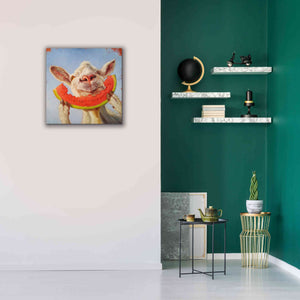 'Summer Treat' by Lucia Heffernan, Canvas Wall Art,26x26