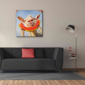 'Summer Treat' by Lucia Heffernan, Canvas Wall Art,37x37