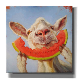 'Summer Treat' by Lucia Heffernan, Canvas Wall Art
