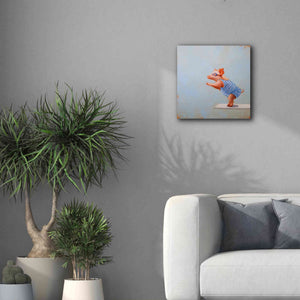 'The Plunge' by Lucia Heffernan, Canvas Wall Art,18x18
