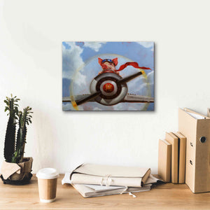 'When Pigs Fly' by Lucia Heffernan, Canvas Wall Art,16x12