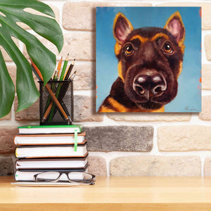 'Follow Your Nose 1' by Lucia Heffernan, Canvas Wall Art,12x12