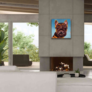 'Follow Your Nose 1' by Lucia Heffernan, Canvas Wall Art,26x26