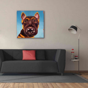 'Follow Your Nose 1' by Lucia Heffernan, Canvas Wall Art,37x37