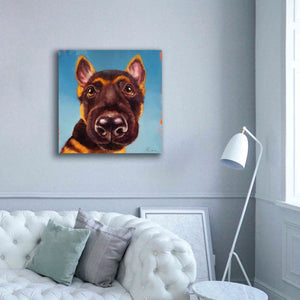 'Follow Your Nose 1' by Lucia Heffernan, Canvas Wall Art,37x37