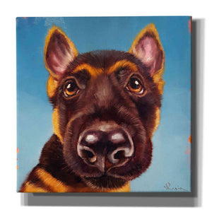 'Follow Your Nose 1' by Lucia Heffernan, Canvas Wall Art