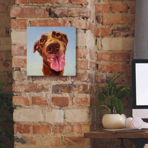 'Follow Your Nose 5' by Lucia Heffernan, Canvas Wall Art,12x12