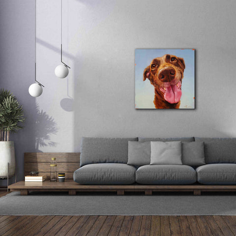 Image of 'Follow Your Nose 5' by Lucia Heffernan, Canvas Wall Art,37x37