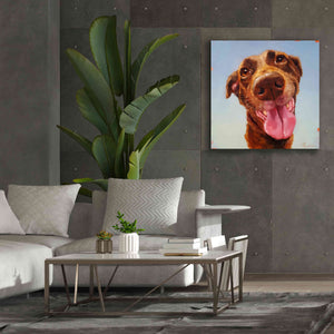 'Follow Your Nose 5' by Lucia Heffernan, Canvas Wall Art,37x37