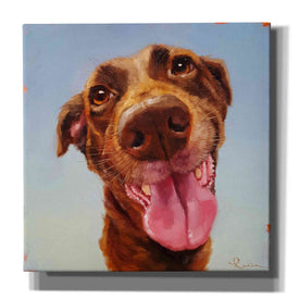 'Follow Your Nose 5' by Lucia Heffernan, Canvas Wall Art