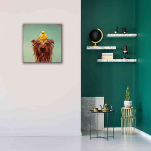 'Bath Time' by Lucia Heffernan, Canvas Wall Art,26x26