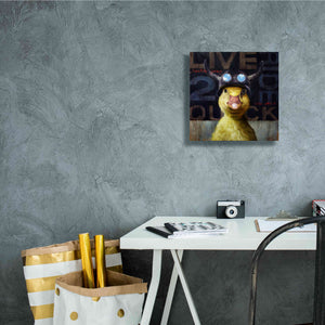 'Full Throttle' by Lucia Heffernan, Canvas Wall Art,12x12