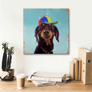 'Marcelo' by Lucia Heffernan, Canvas Wall Art,18x18