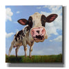'Penelope' by Lucia Heffernan, Canvas Wall Art