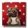 'Pugalicious' by Lucia Heffernan, Canvas Wall Art