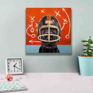 'Rookie' by Lucia Heffernan, Canvas Wall Art,12x12