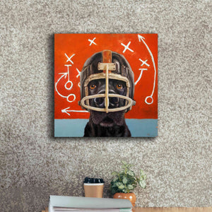 'Rookie' by Lucia Heffernan, Canvas Wall Art,18x18
