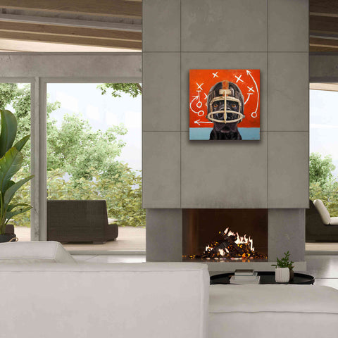Image of 'Rookie' by Lucia Heffernan, Canvas Wall Art,26x26