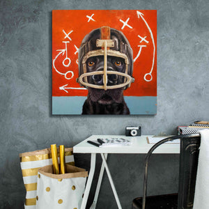 'Rookie' by Lucia Heffernan, Canvas Wall Art,26x26