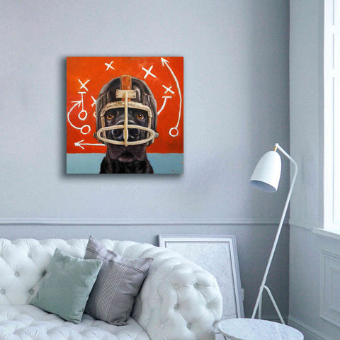 Image of 'Rookie' by Lucia Heffernan, Canvas Wall Art,37x37