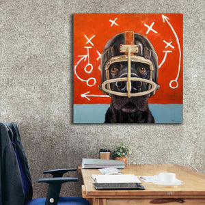 'Rookie' by Lucia Heffernan, Canvas Wall Art,37x37