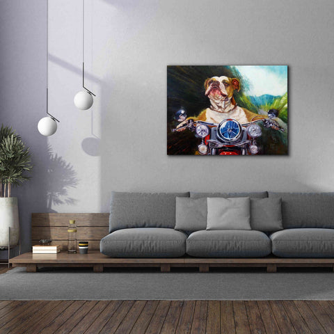 Image of 'Born To Be Wild' by Lucia Heffernan, Canvas Wall Art,54x40