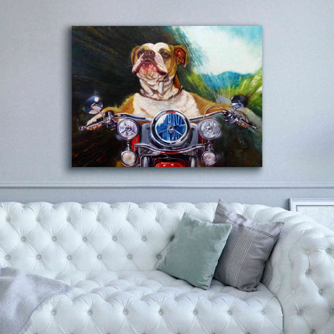 Image of 'Born To Be Wild' by Lucia Heffernan, Canvas Wall Art,54x40