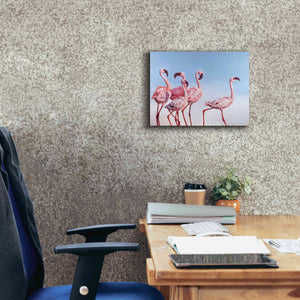 'Pink Ladies' by Lucia Heffernan, Canvas Wall Art,16x12
